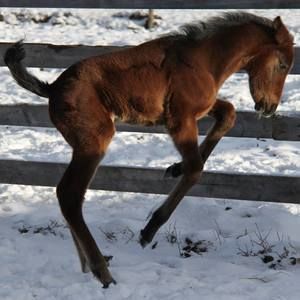Meet your Posher, Terry